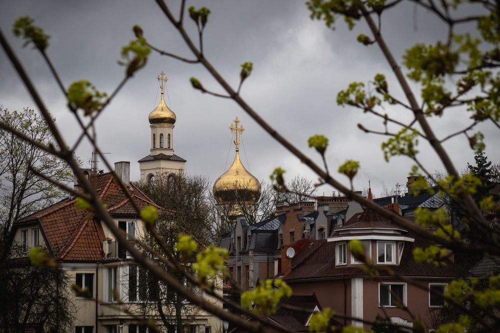 Photograph by Бравичева Анастасия