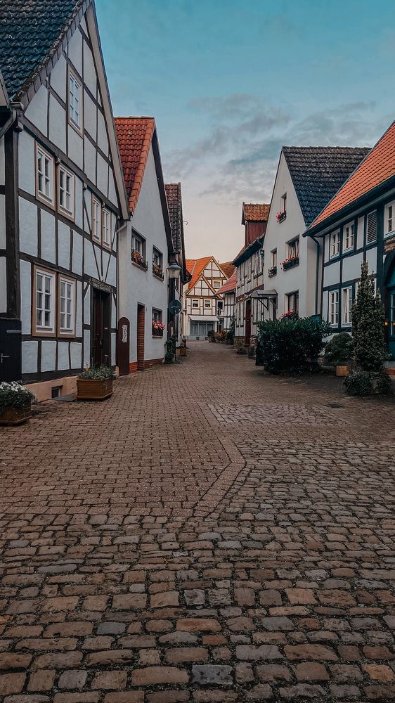 Photograph by Irina Chekanov