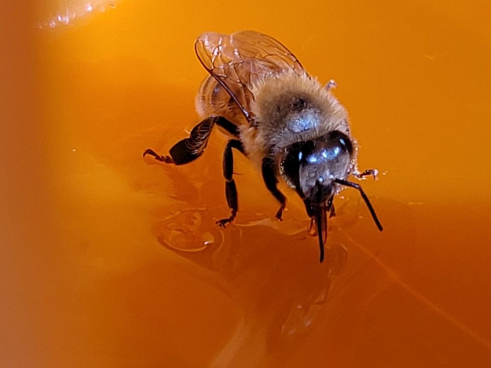 Photograph by Catherine