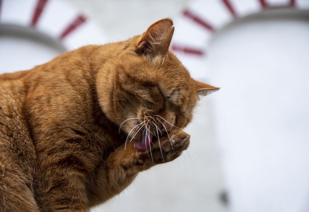 Photograph by Nikolay Dimitrov