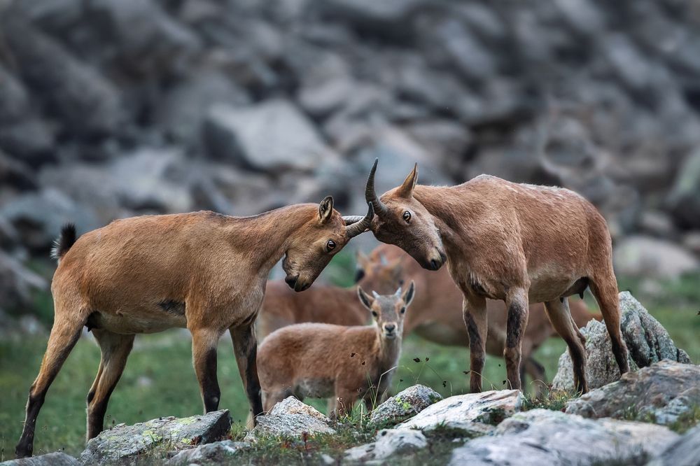 Photograph by Vyacheslav Lozhkin