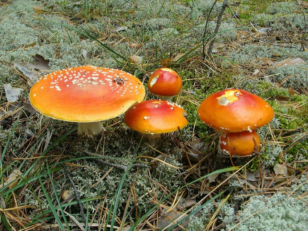 Фотография автора Павел Попов