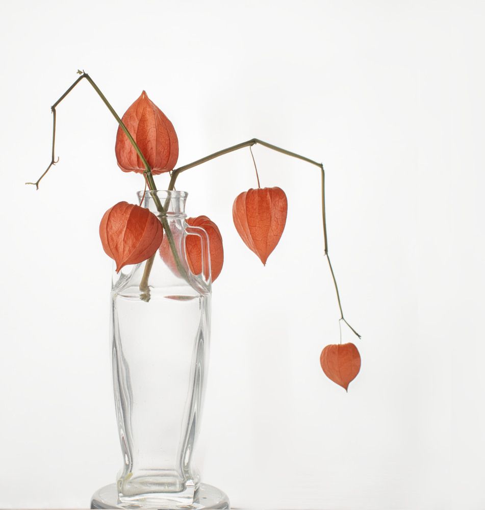 Photograph by Viktoria Alaküla