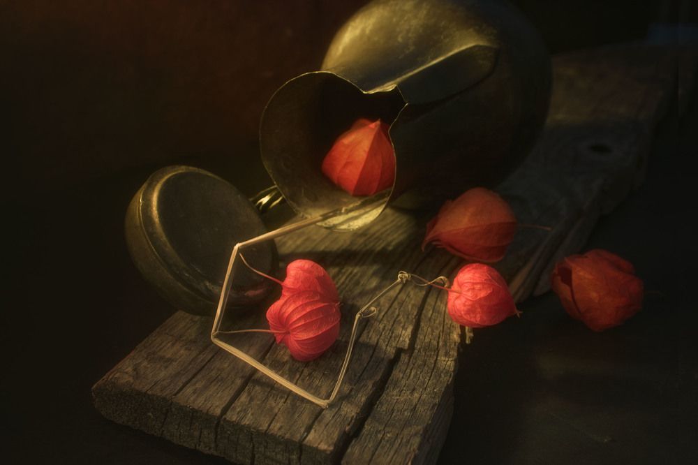 Photograph by Viktoria Alaküla