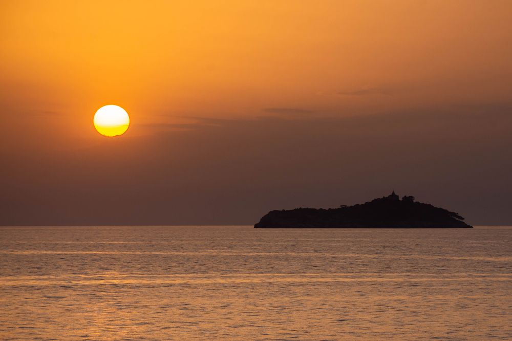 Фотография автора Minja Jovetic