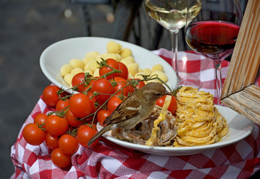 Photograph by Александр Каплан