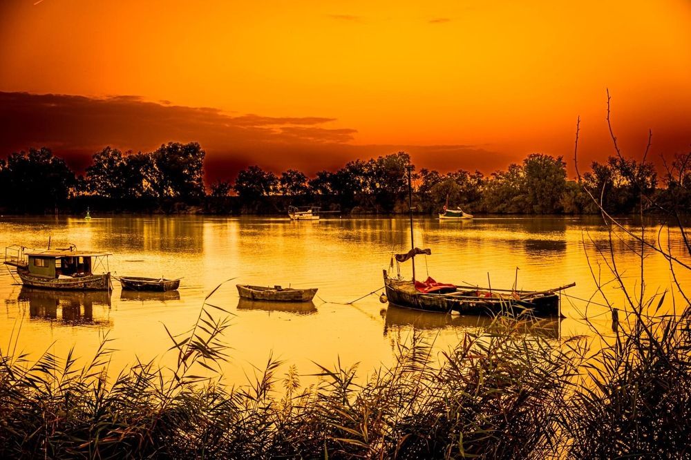 Photograph by Amelia Pardo