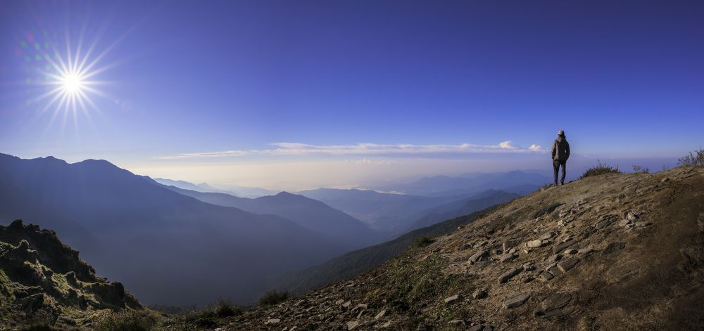 Photograph by Sara Jazbar