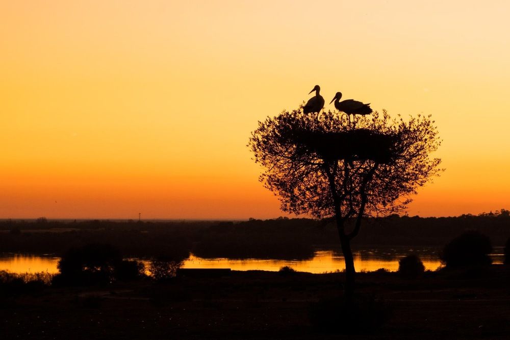 Photograph by Amelia Pardo