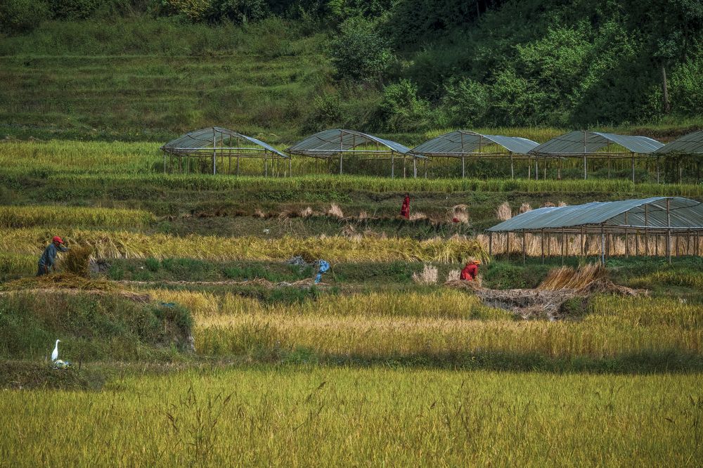 Photograph by Sara Jazbar