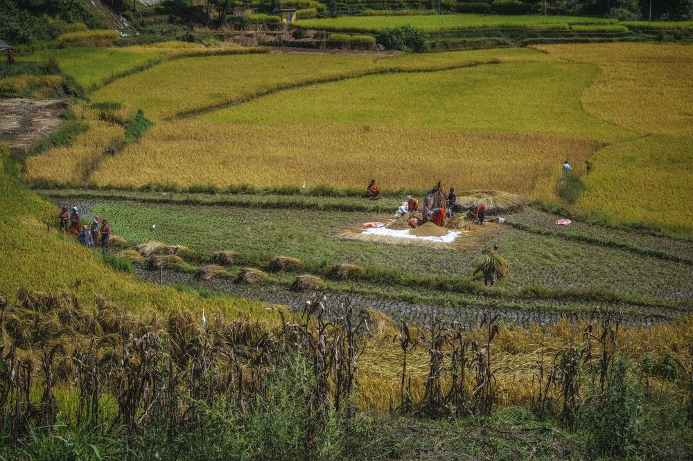 Photograph by Sara Jazbar