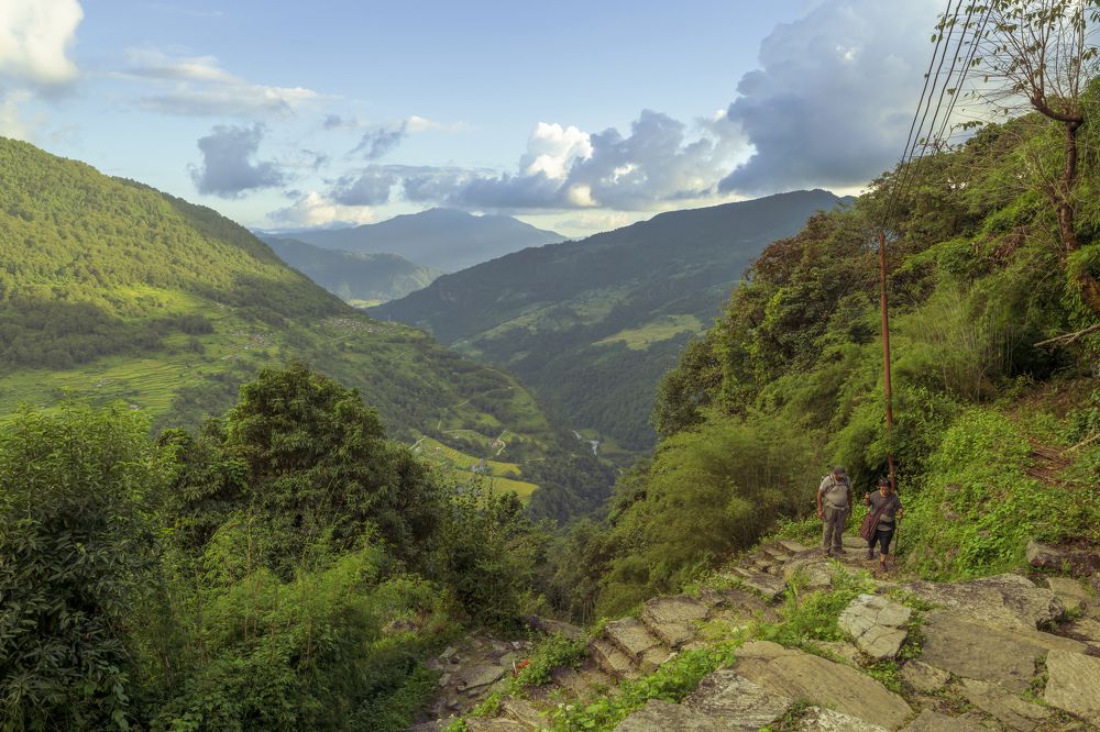 Photograph by Sara Jazbar