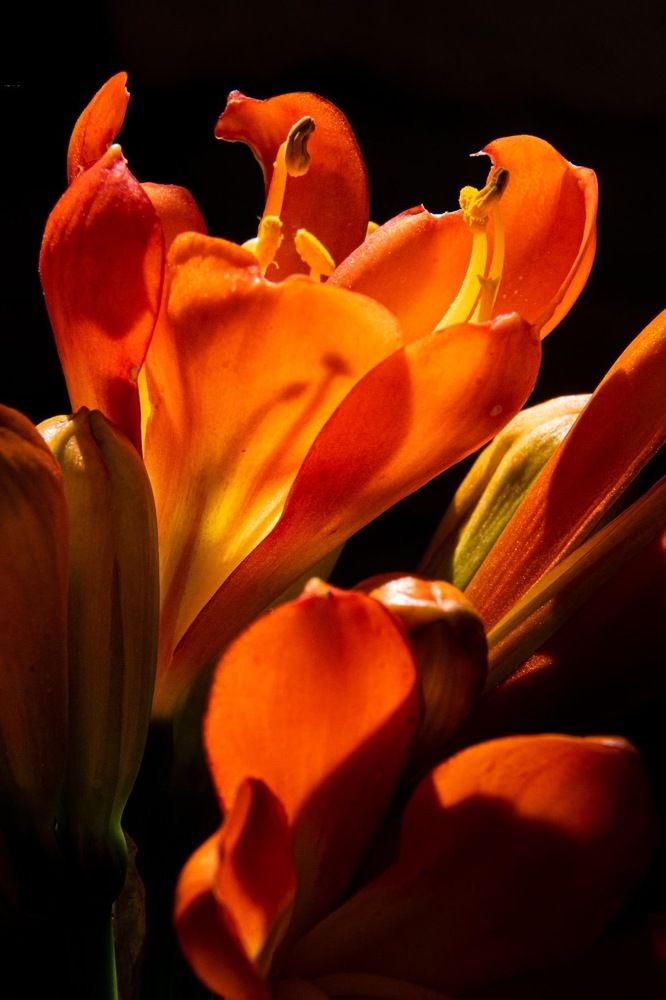 Photograph by Amelia Pardo