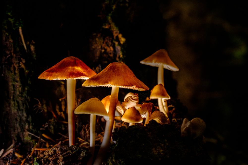 Photograph by Manuel Iglesias