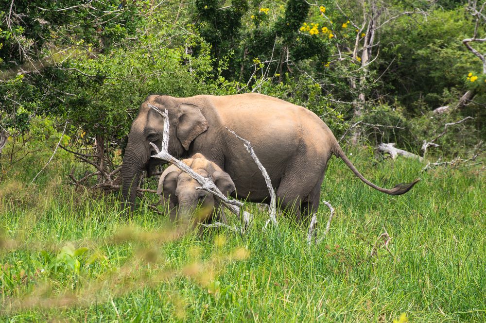 Photograph by Олег Сальников