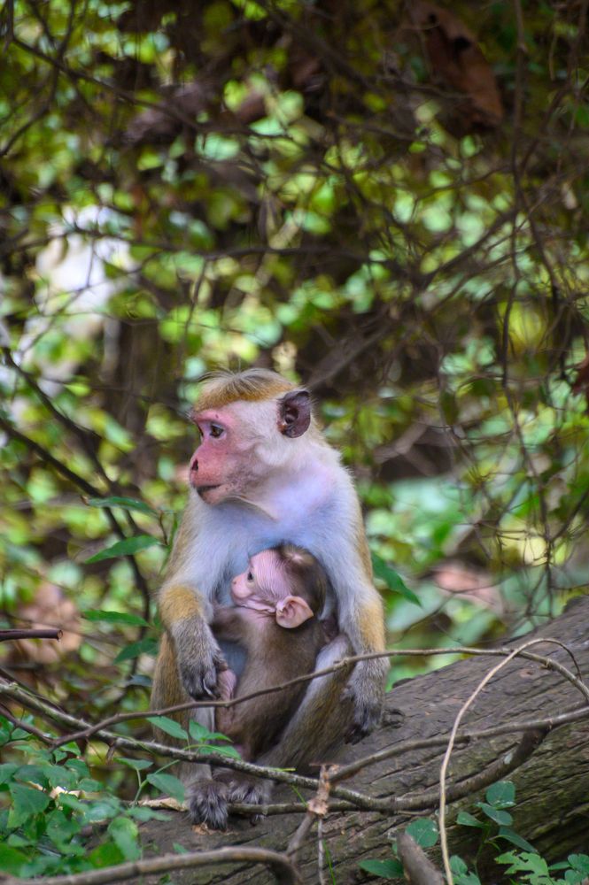 Photograph by Олег Сальников