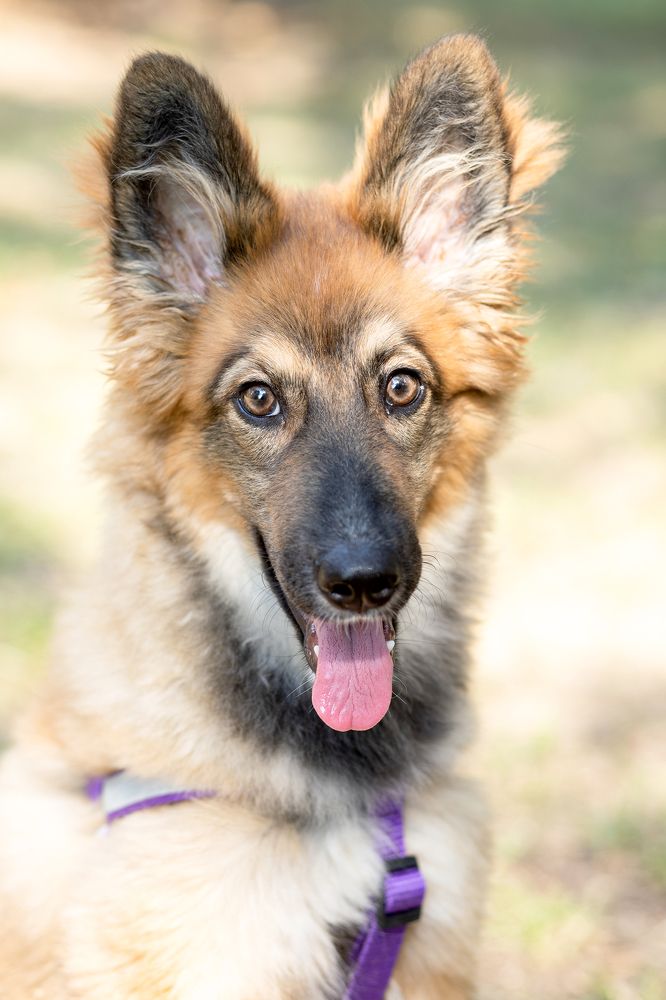 Photograph by Инна Баевская