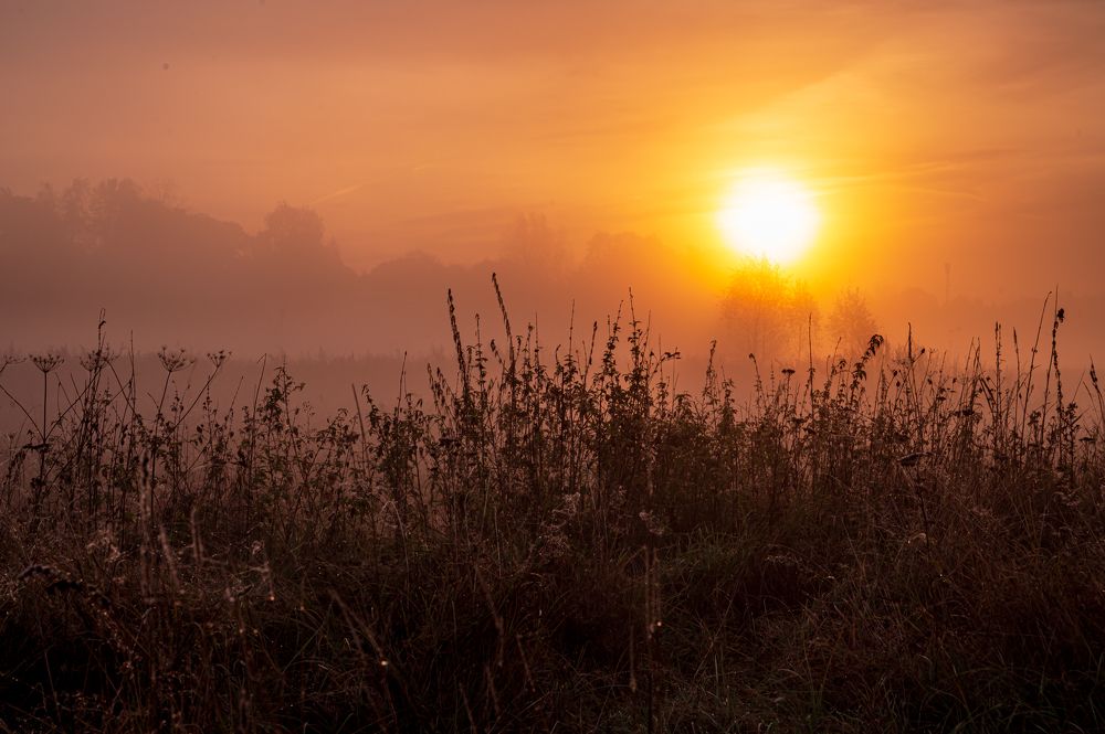 Photograph by Олег Сальников