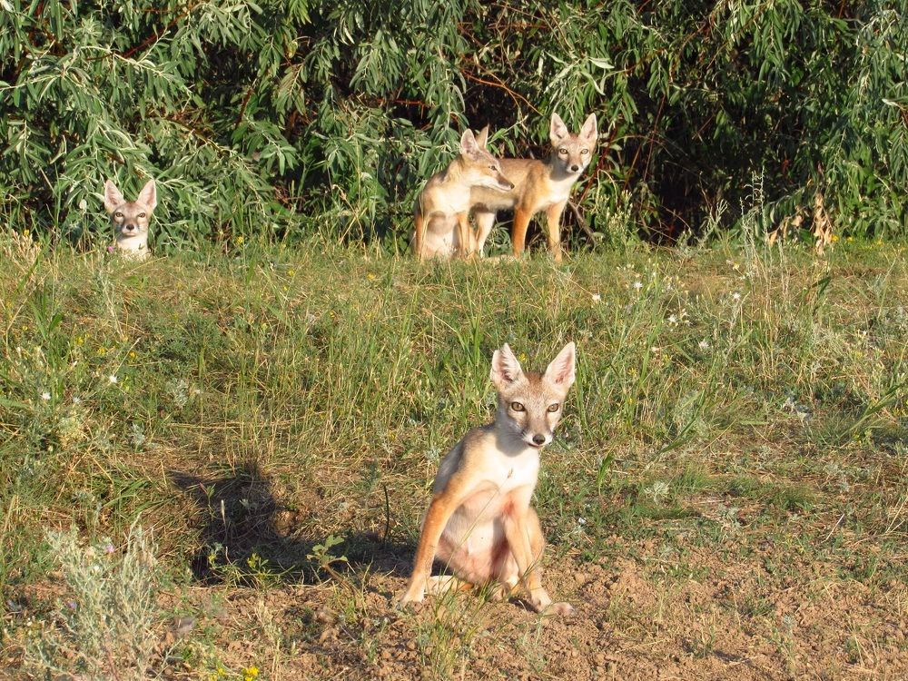 Photograph by Денис Веску