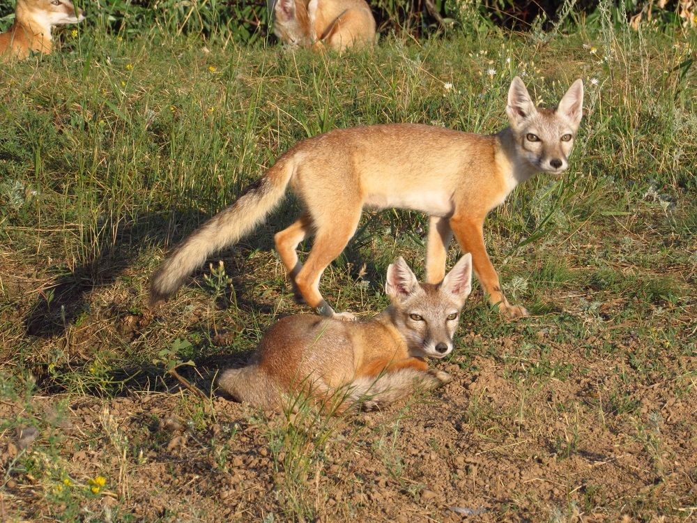 Photograph by Денис Веску