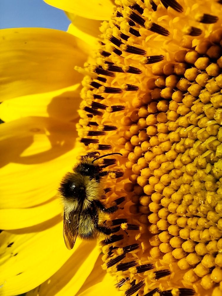 Photograph by Елизавета Лай