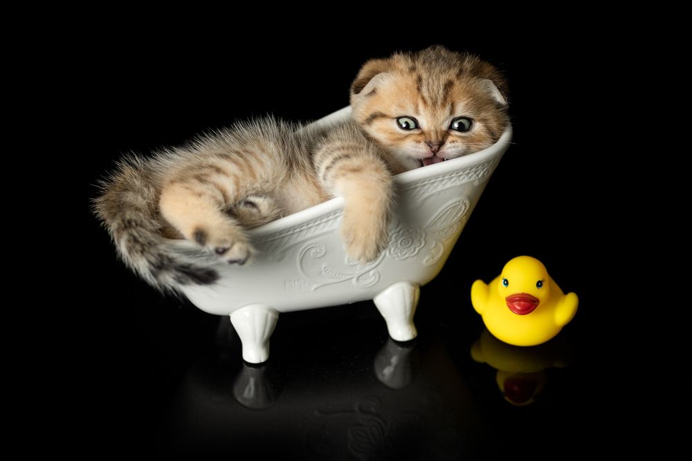 Photograph by Veronika Blažeková