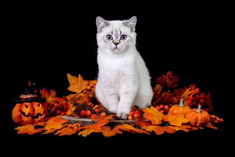 Photograph by Veronika Blažeková