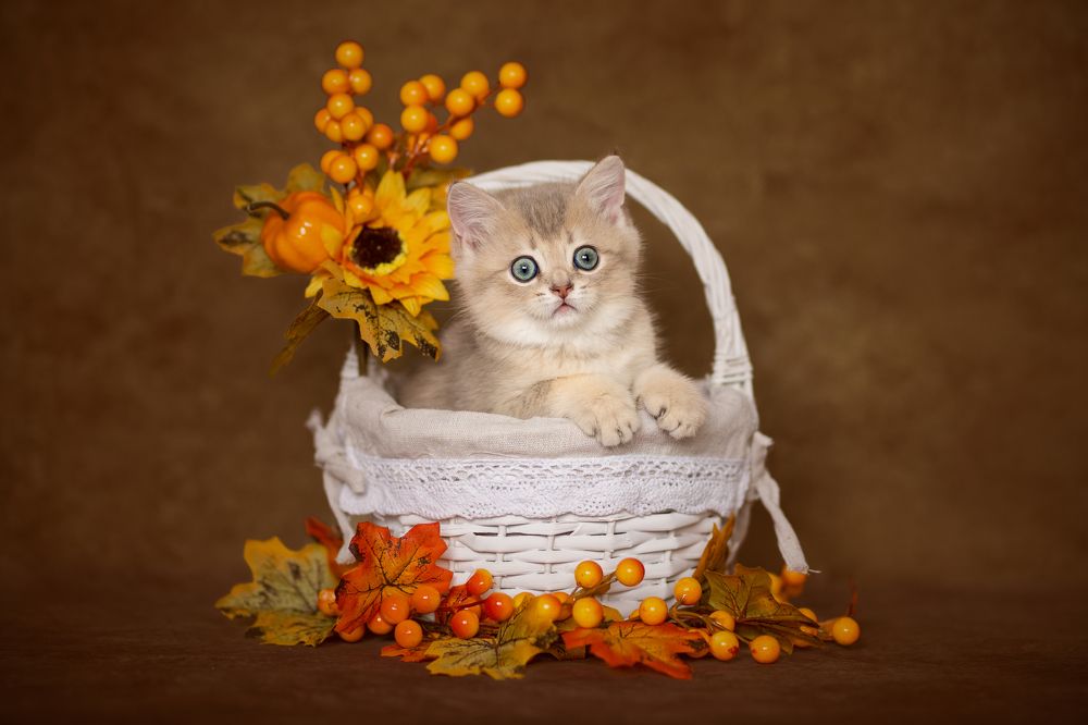 Photograph by Veronika Blažeková