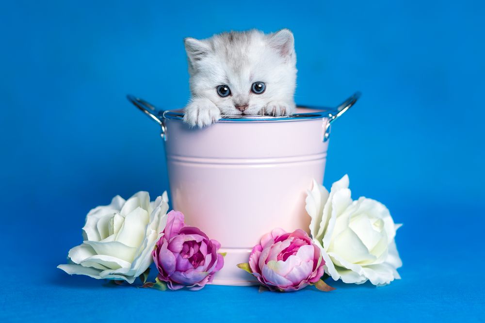 Photograph by Veronika Blažeková