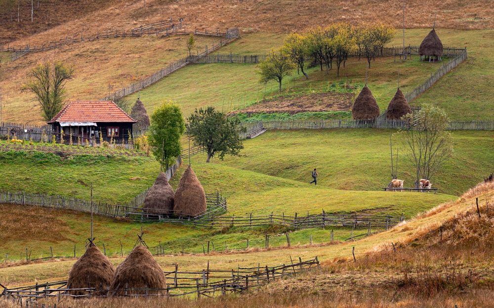 Photograph by Alin Bicas