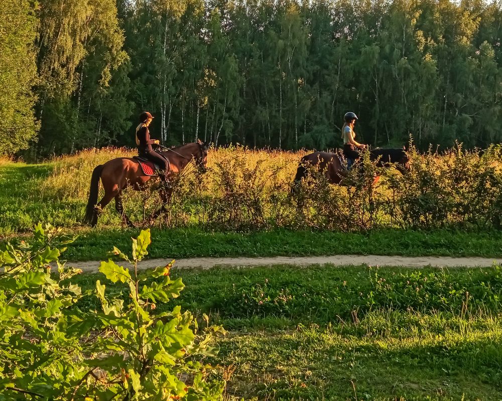 Photograph by Игорь Грашин