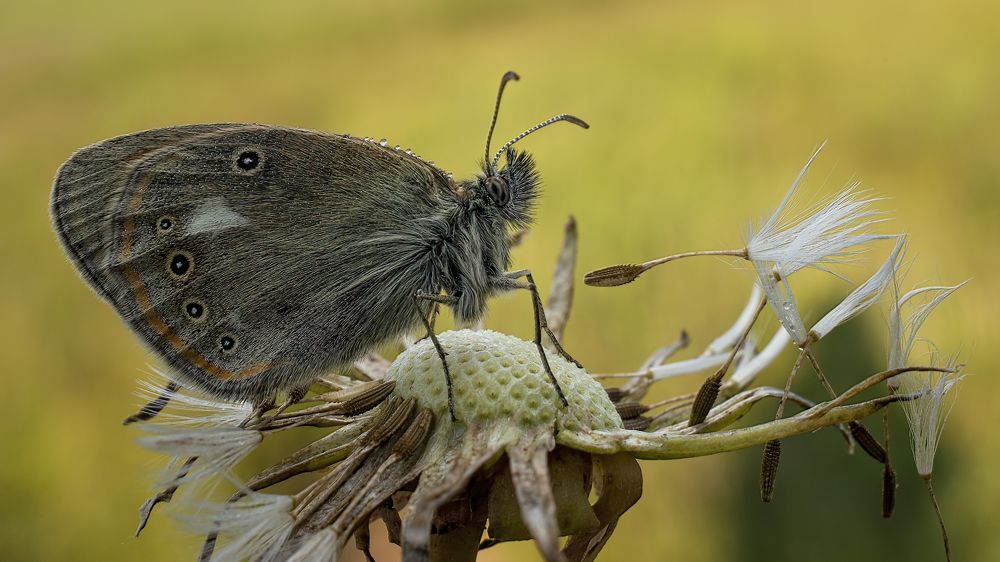 Photograph by Людмила Железнова