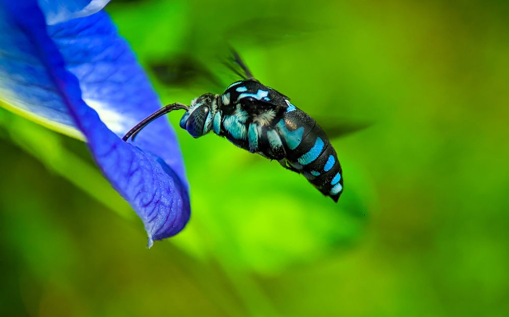 Photograph by Sumitava Chowdhury