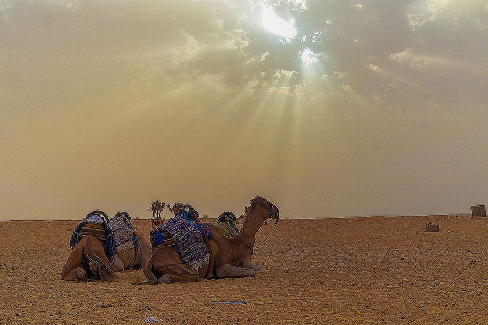 Фотография автора Юрий Цыркунов