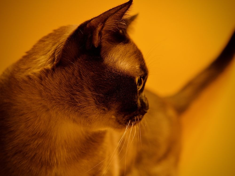 Photograph by Светлана Георкова