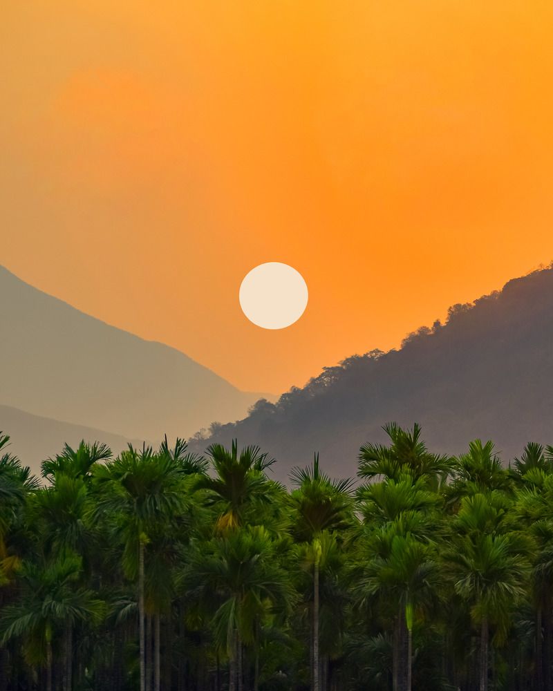 Photograph by Vinoth