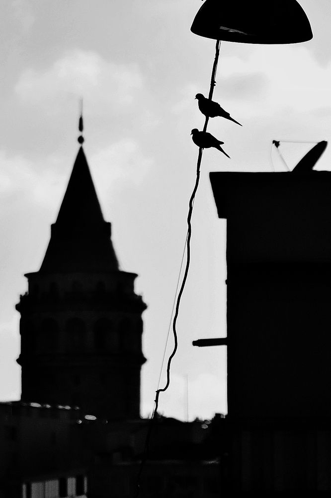 Photograph by Nesrin Öztürk