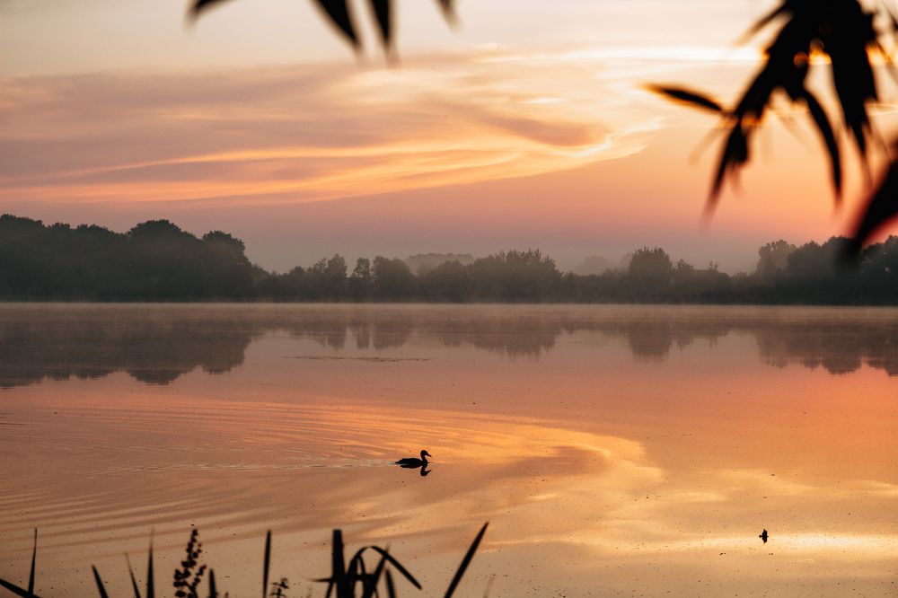 Photograph by Иван Полиненко