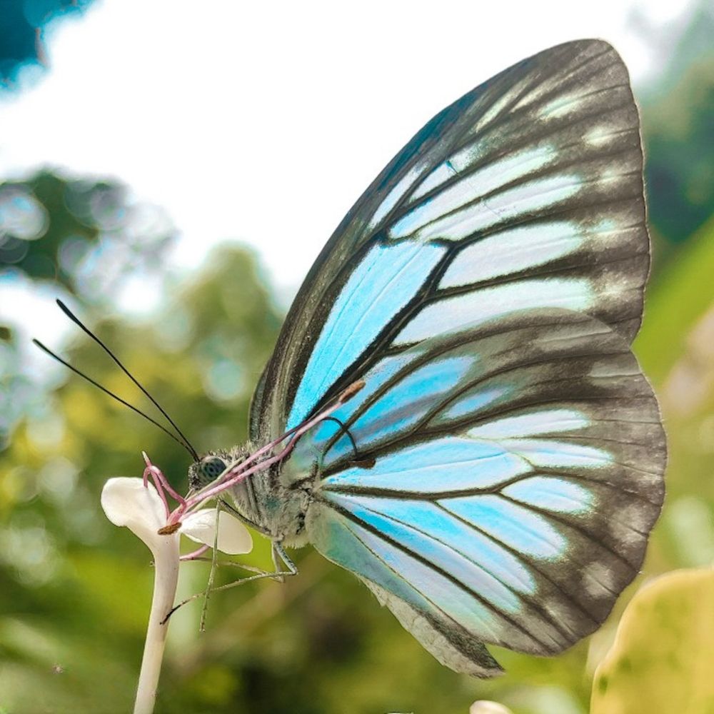 Photograph by Akshay Sutradhar