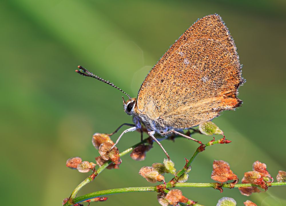 Photograph by Борис Новиков