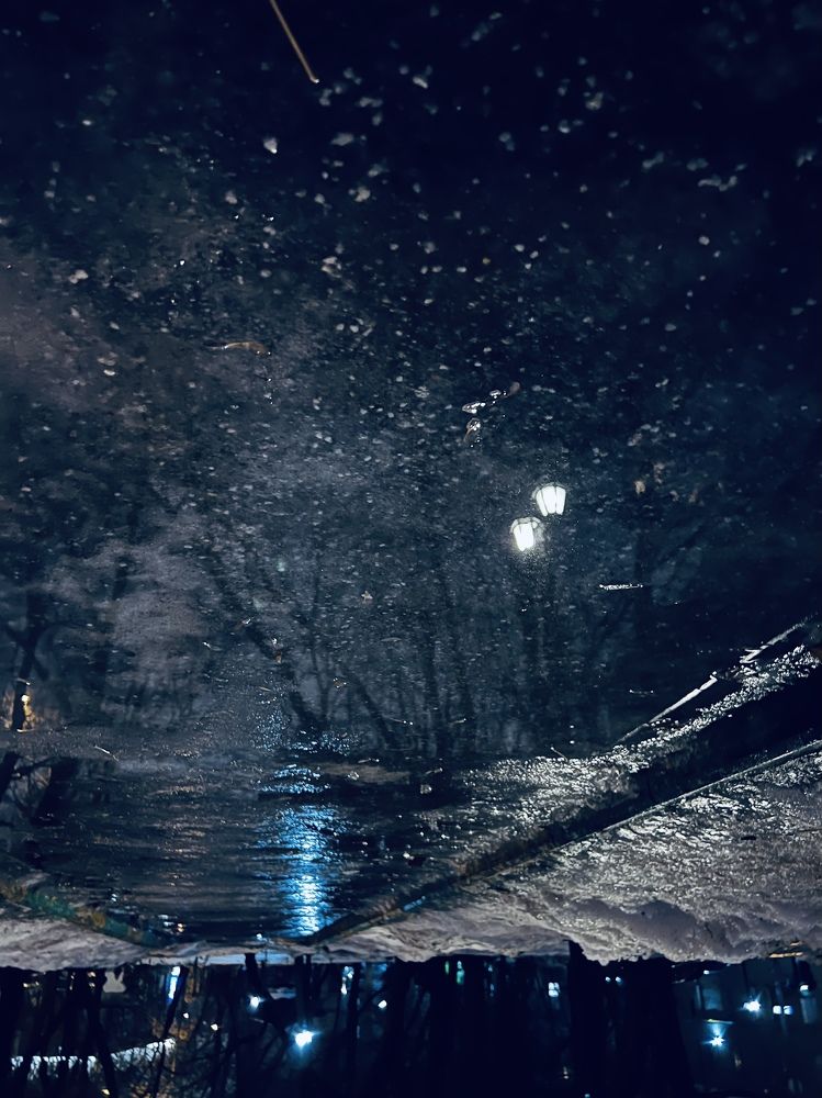 Вселенная в городской луже