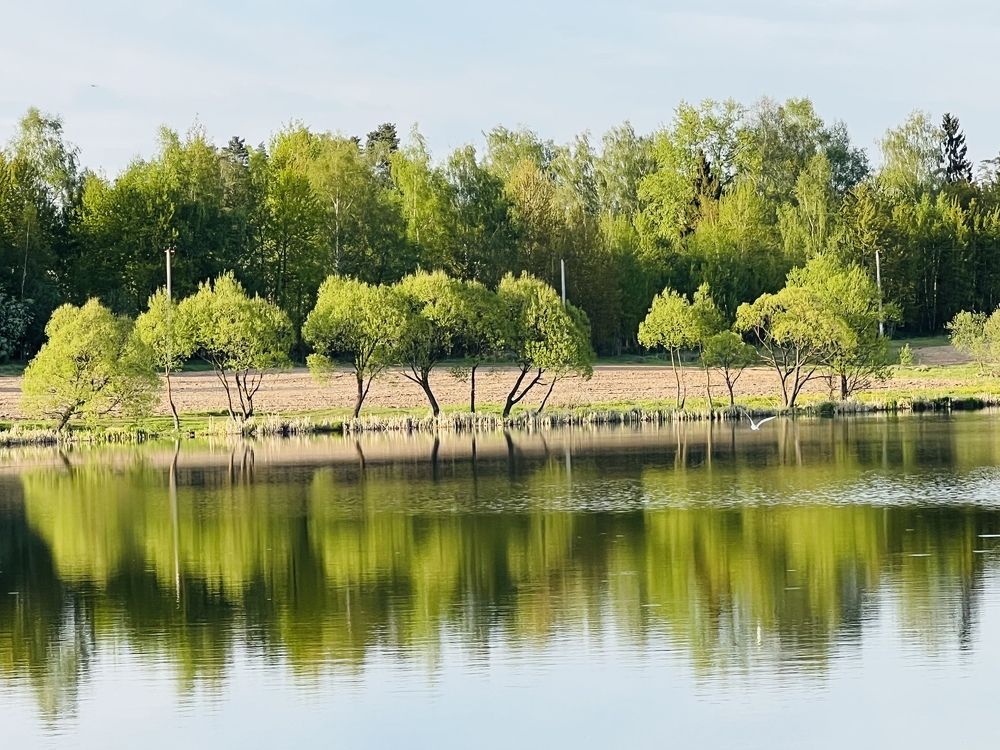 Photograph by Кира