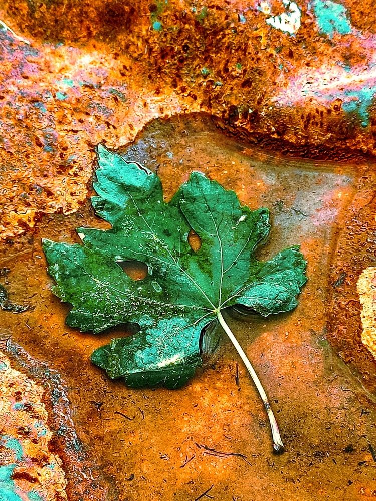 Фотография автора Marina Talalina