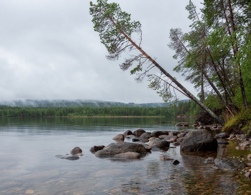 Photograph by Светлана Ващенко