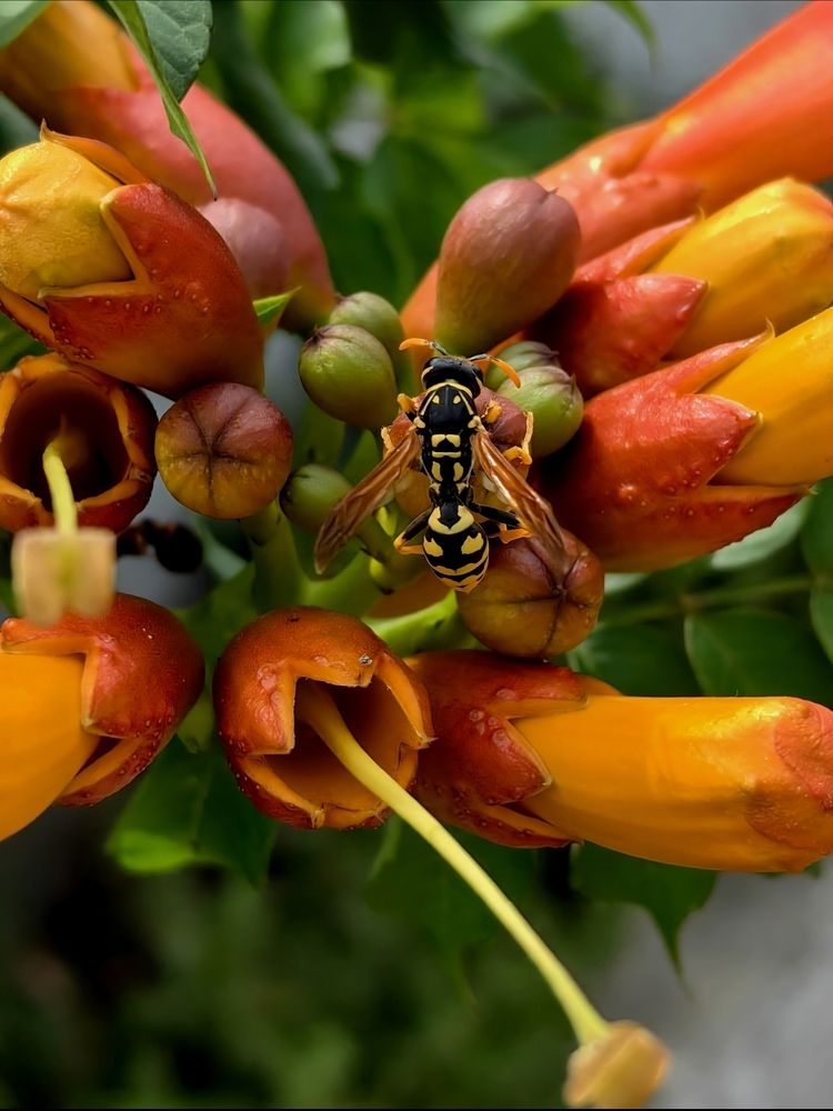 Photograph by Ирина Тихая