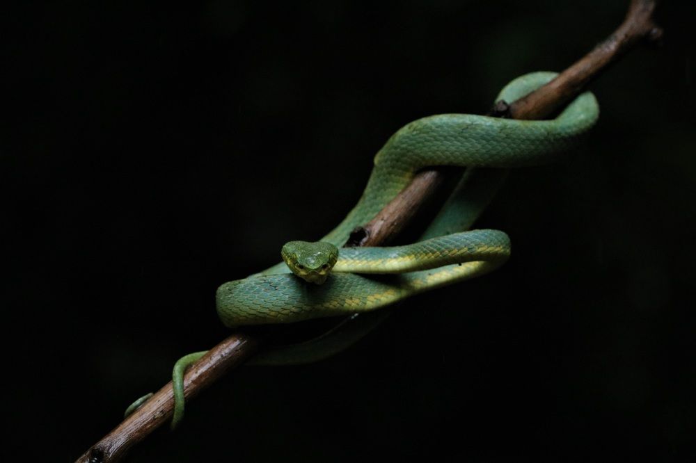 Photograph by Omkar Deshpande