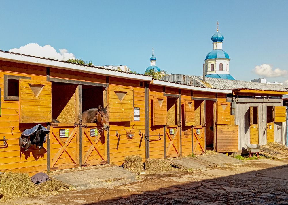 Photograph by Игорь Грашин