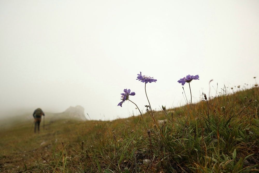 Photograph by Ирина Корабельникова