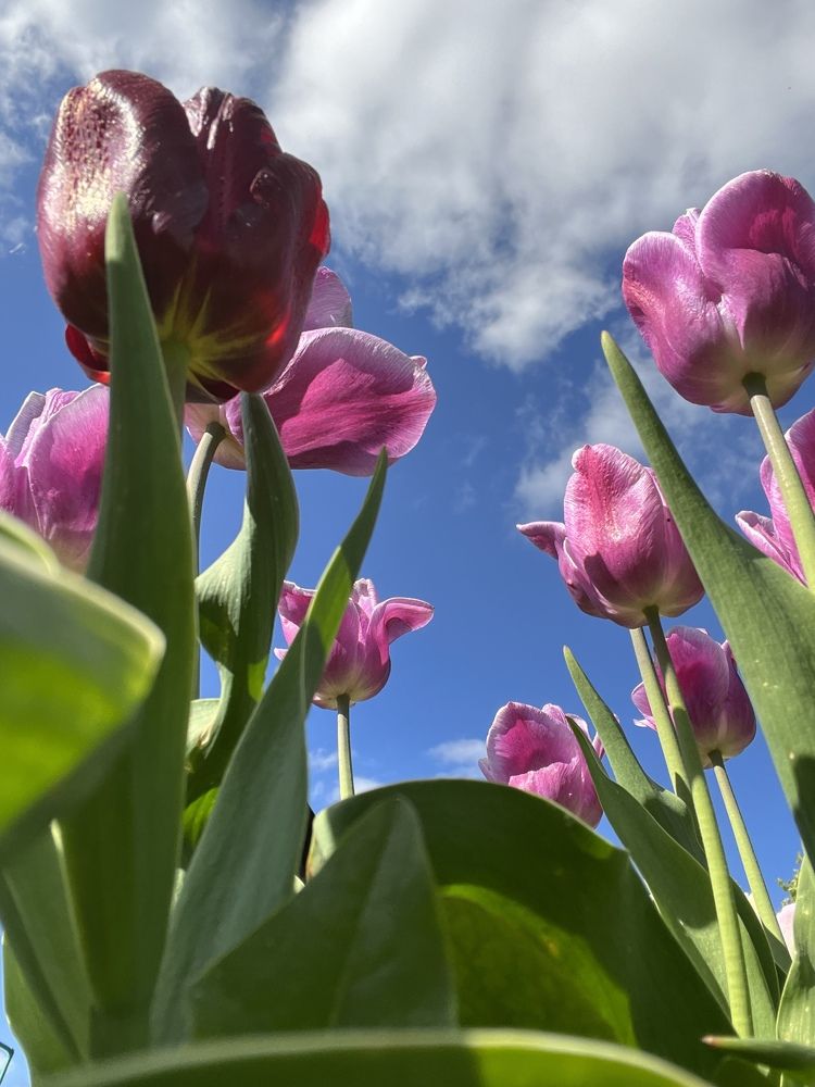 Photograph by Кира