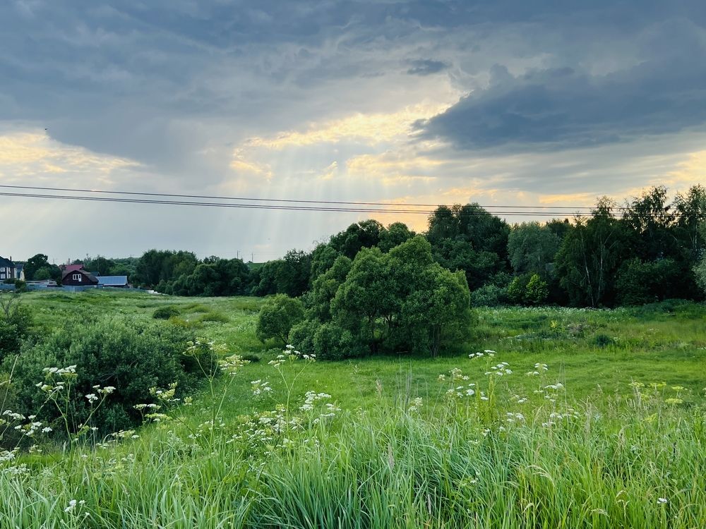 Перед дождем